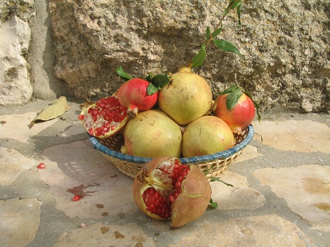 Pomegranates in a wicker basket, Jerusalem, Israel | © Melech ben Ya'aqov, Karaite Insights